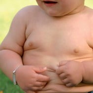 Troppe proteine aumentano la massa grassa